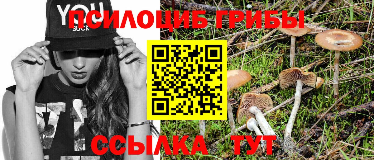 Галлюциногенные грибы GOLDEN TEACHER Сибай
