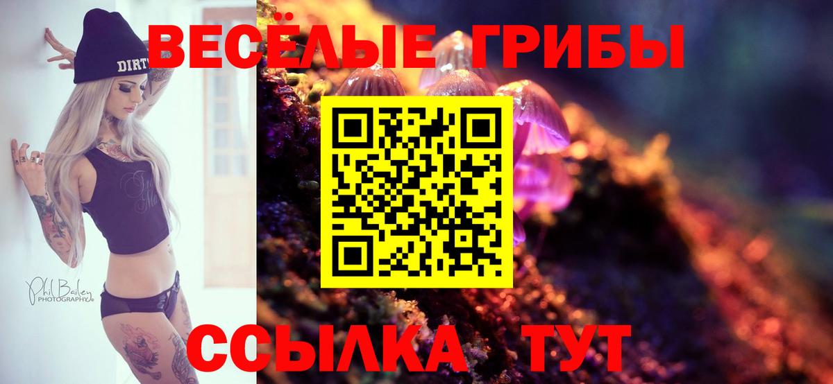 Сибай  Галлюциногенные грибы MAGIC MUSHROOMS  Псилоцибиновые грибы Psilocybine cubensis  Вход с VPN 